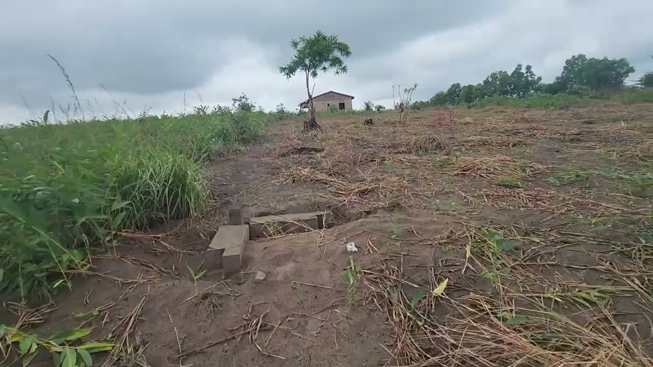 Mont Ngafula, Milenium, 20m/20 à trois parcelles de la nouvelle route en construction, +243844129914