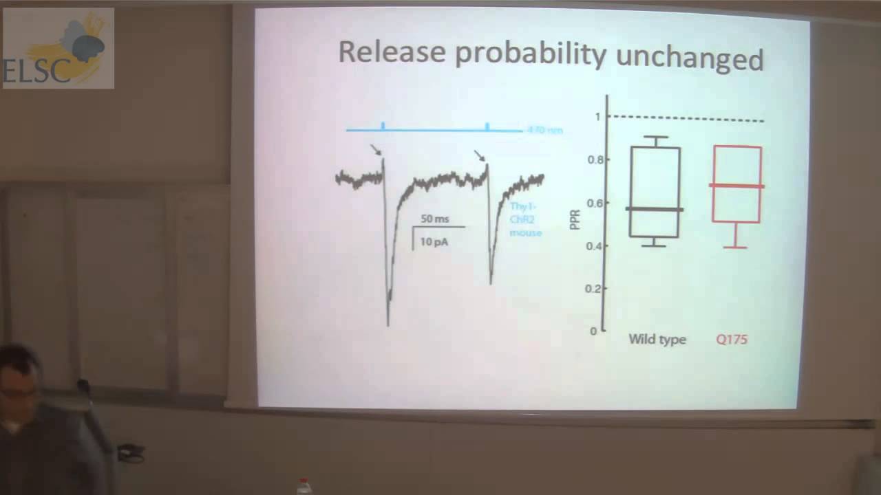 ELSC Seminar: Josh Goldberg
