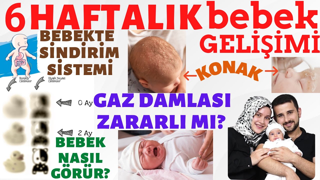 6 Haftalık Bebek Gelişimi (DETAYLI ANLATIM) w/    @rabiasahin