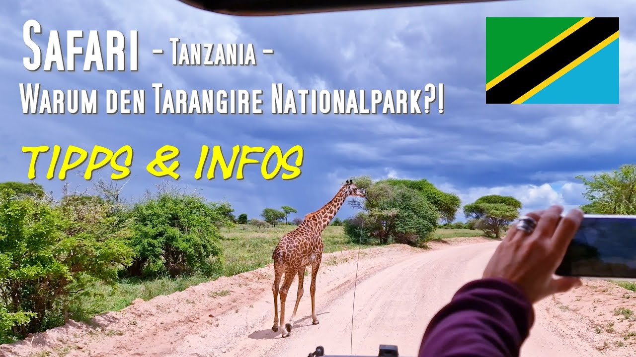 Safari in Tansania: Tarangire NP Warum d Tarangire, Tipps & Infos was alles bei einer Safari wichtig