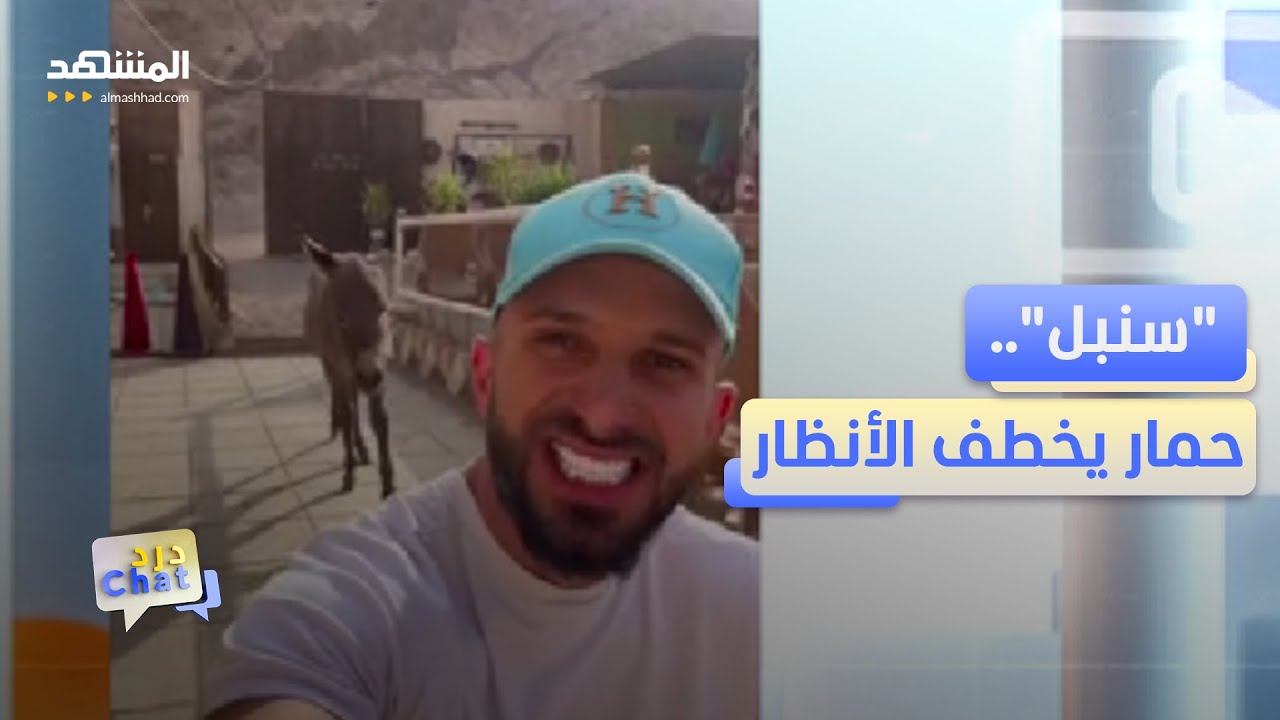 حمار بين الأحصنة يخطف الأضواء على المواقع  – دردشات