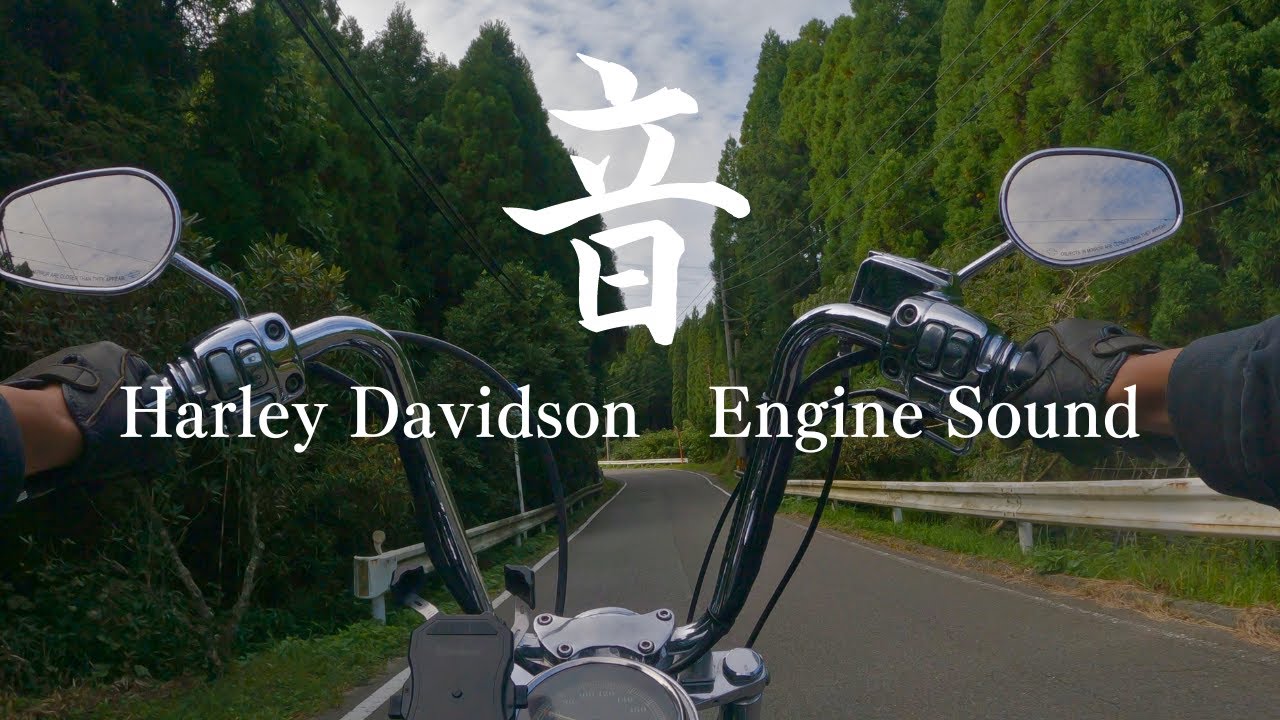 【高音質 】ハーレーダビッドソン エンジン音 三拍子　Harley Davidson Engine Sound