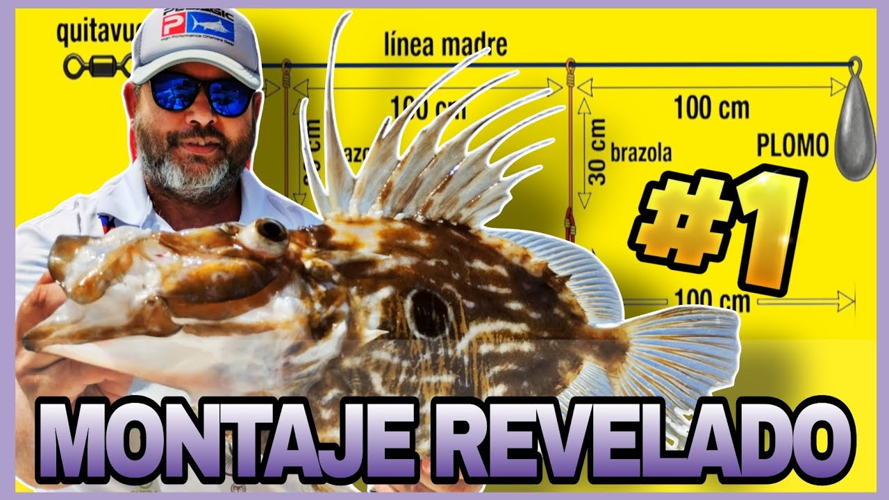 🏆 Aparejo para GALLO DE SAN PEDRO: El Montaje para Pesca al Vivo #1