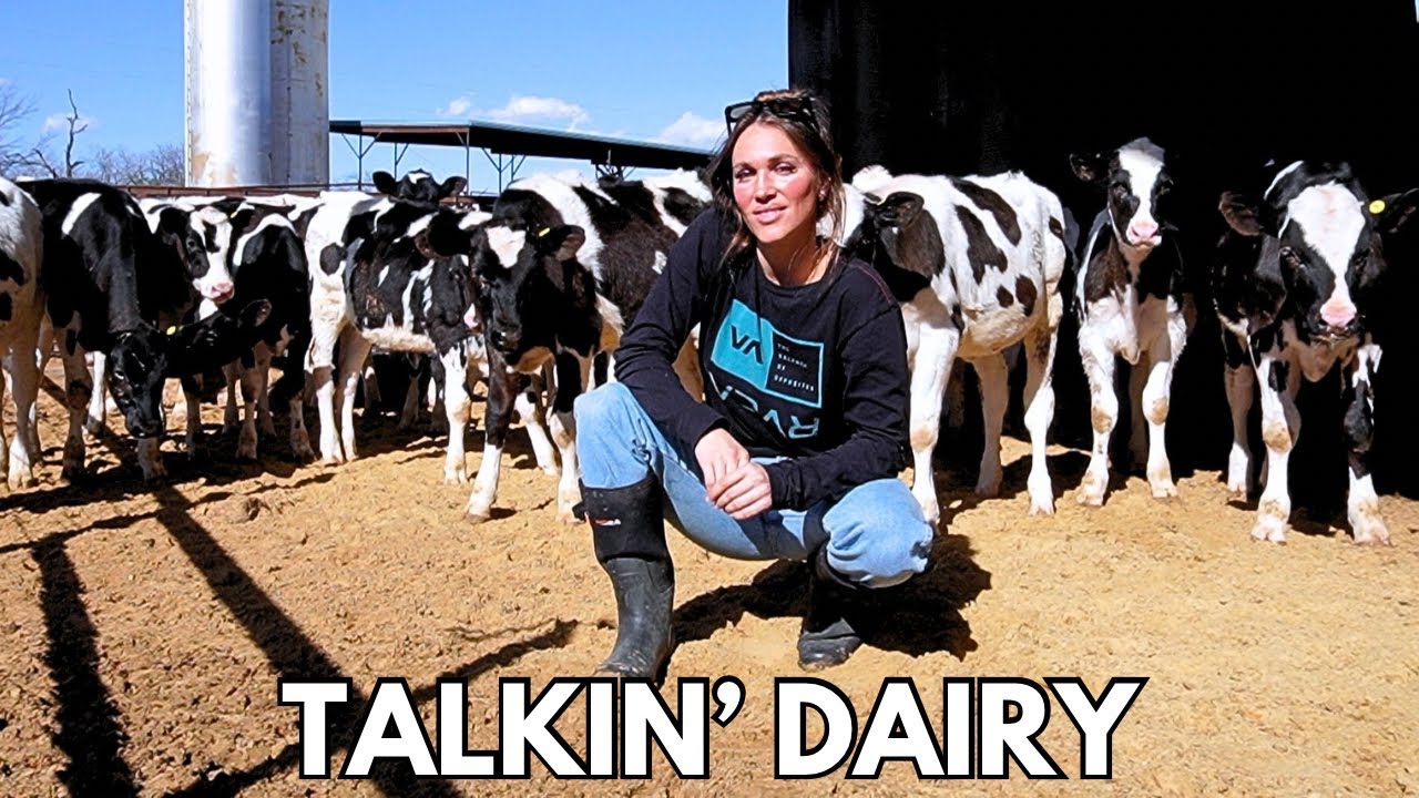 DAILY DOSE OF DAIRY 🐄