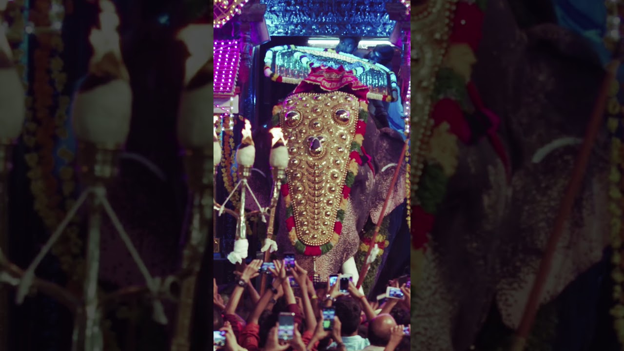 Arattupuzha Pooram #keralatourism #pooram #festivals #thrissur #shorts #arattupuzhapooram #kerala