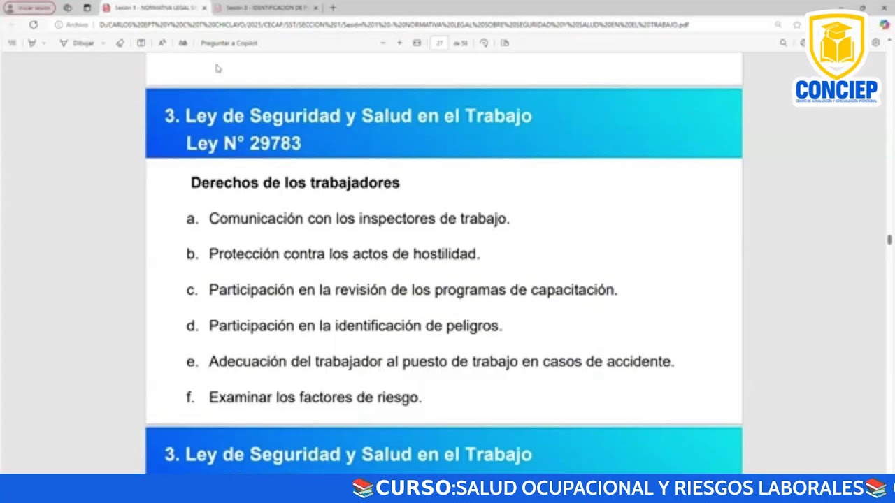📚𝗖𝗨𝗥𝗦𝗢:SALUD OCUPACIONAL Y RIESGOS LABORALES📚