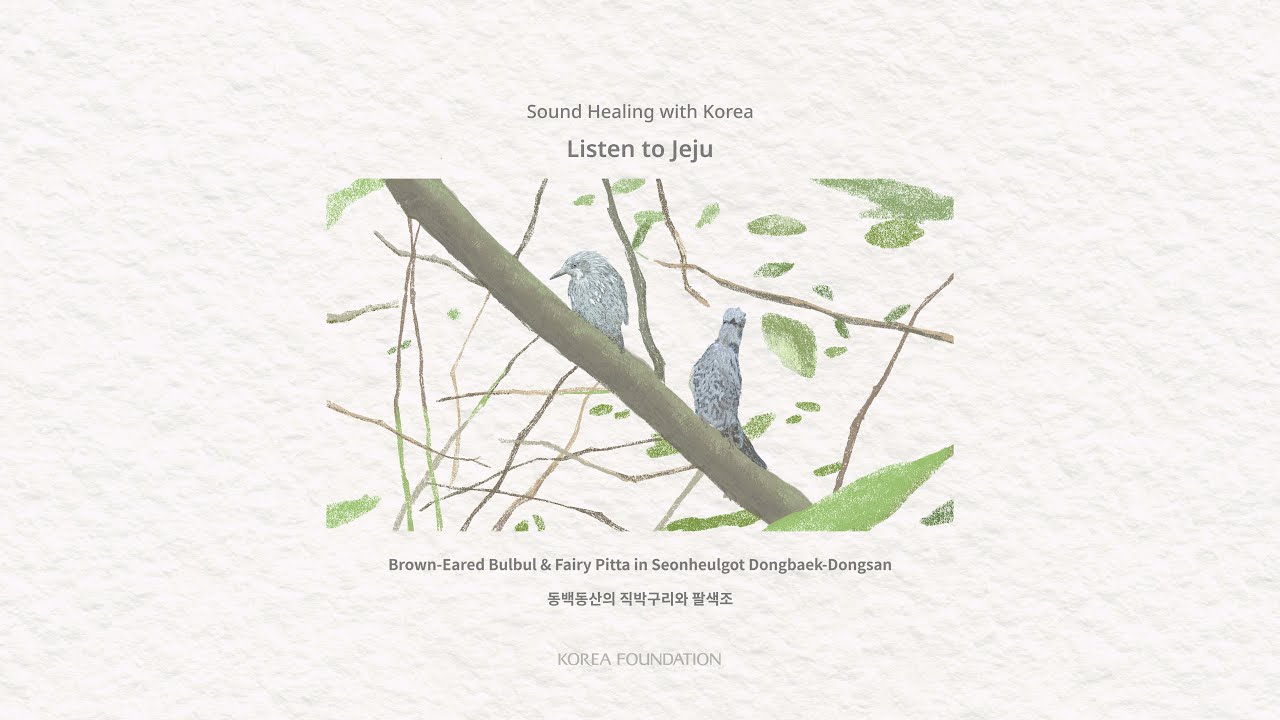 [ASMR] (Teaser) Sound Healing with Korea - Listen to Jeju | 1. Brown-Eared Bulbul & Fairy Pitta