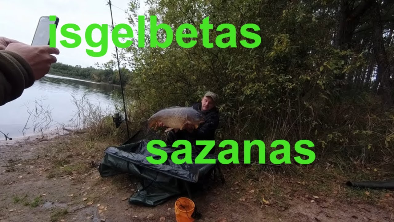 Rudenine karpiu zvejyba Ilgio ezere.