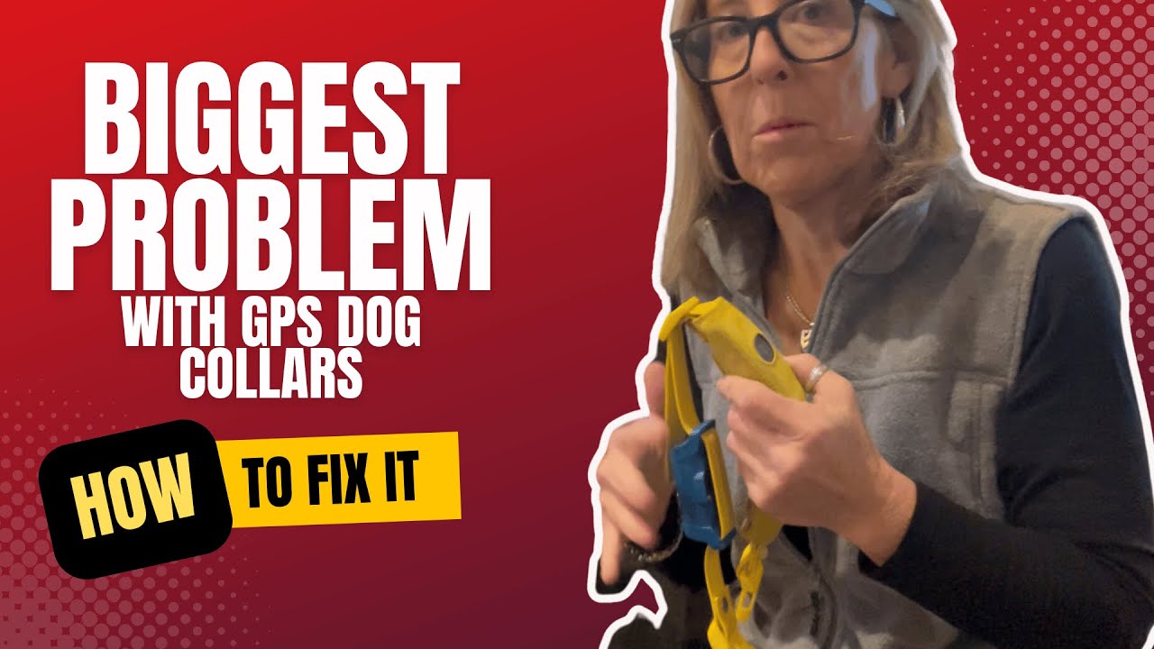 The Problem with GPS Dog Collars - My Hack to Fix It