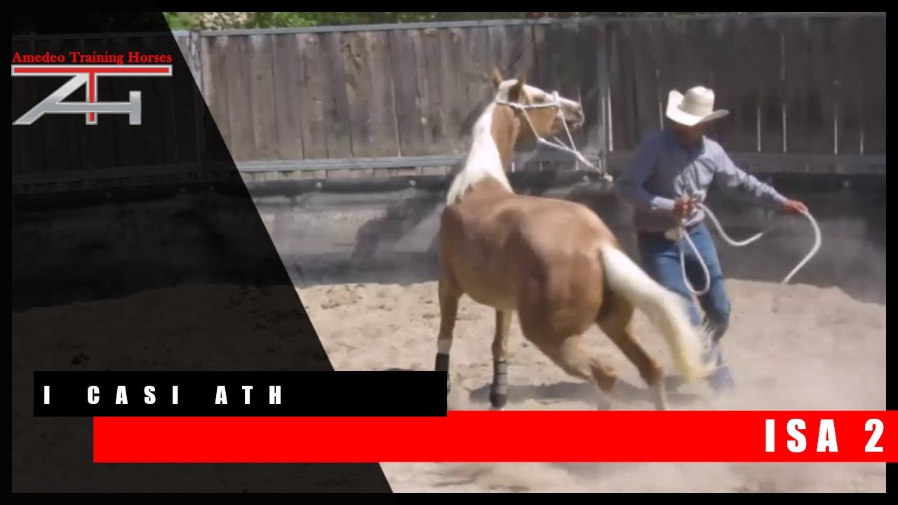 I CASI ATH -ISA sessione 2