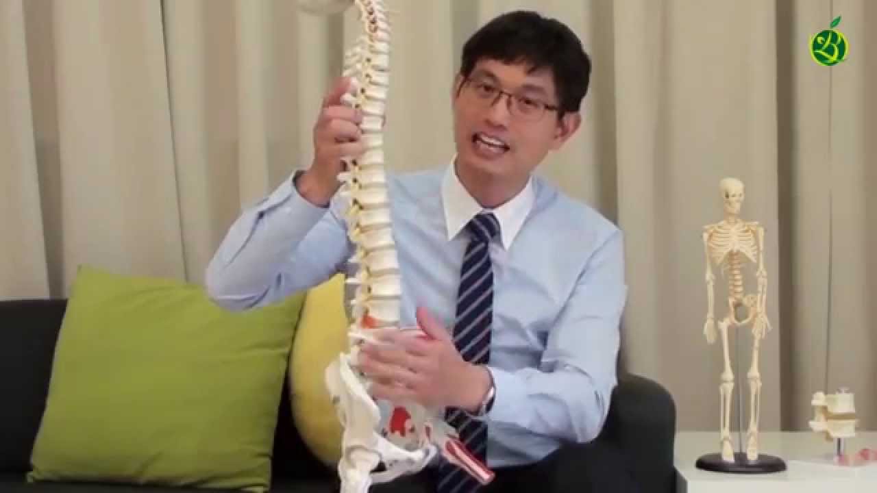 脊椎結構與常見的六大脊椎病痛說明 脊椎力學系列02
