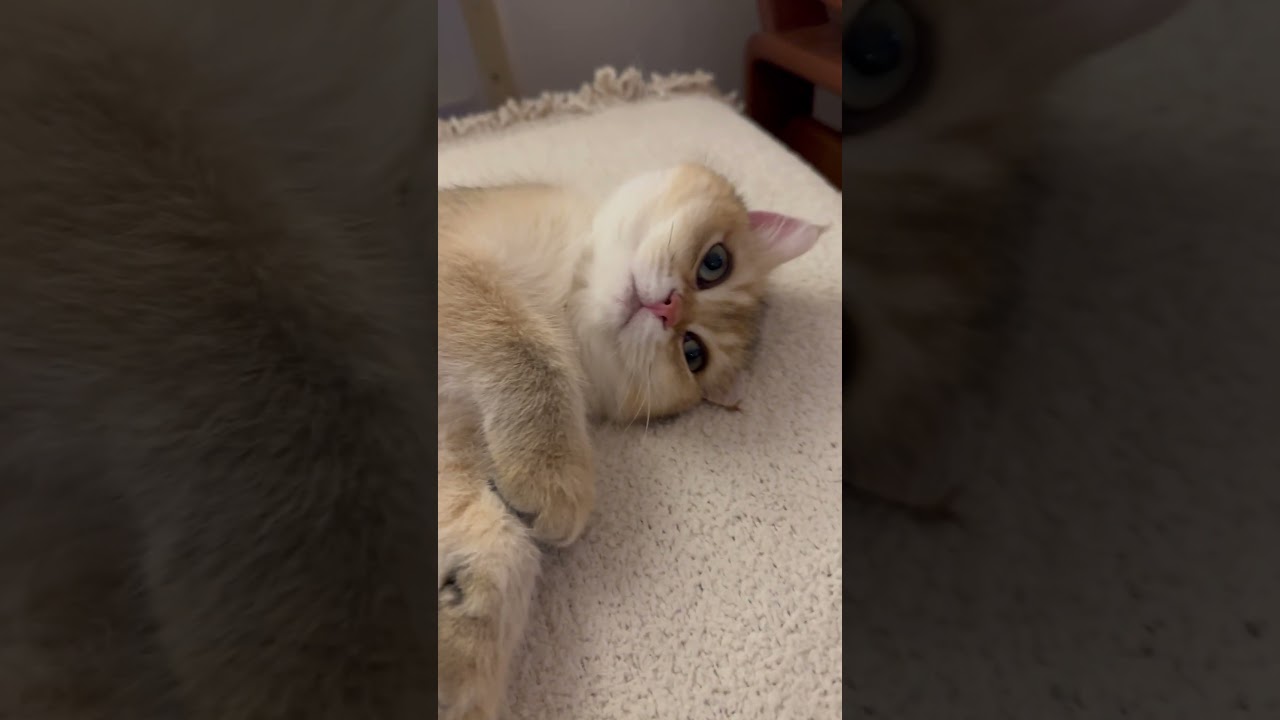 Open eye sleep 