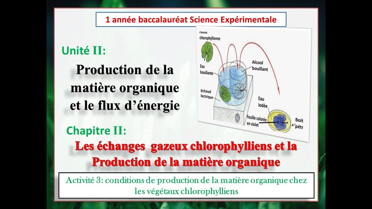les conditions de production de la matière organique chez les végétaux chlorophylliens