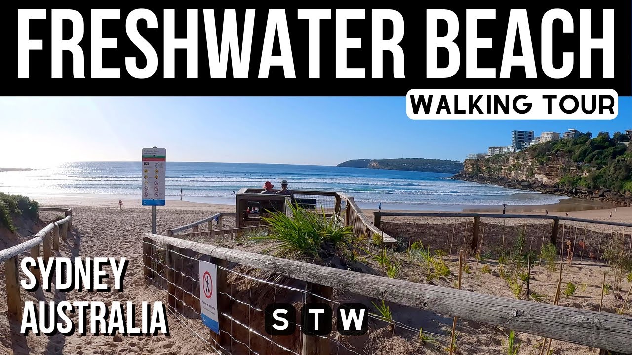 4K 🌊 Freshwater Beach Walking Tour 🇦🇺 Sydney Australia