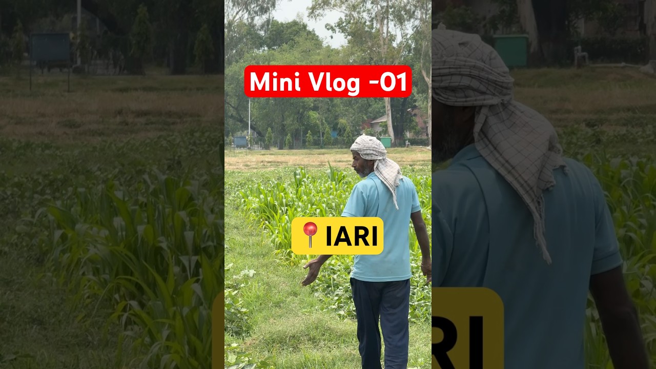 Mini Vlog -01 #fieldvisit  #iari #iariwala ICAR - IARI , New Delhi