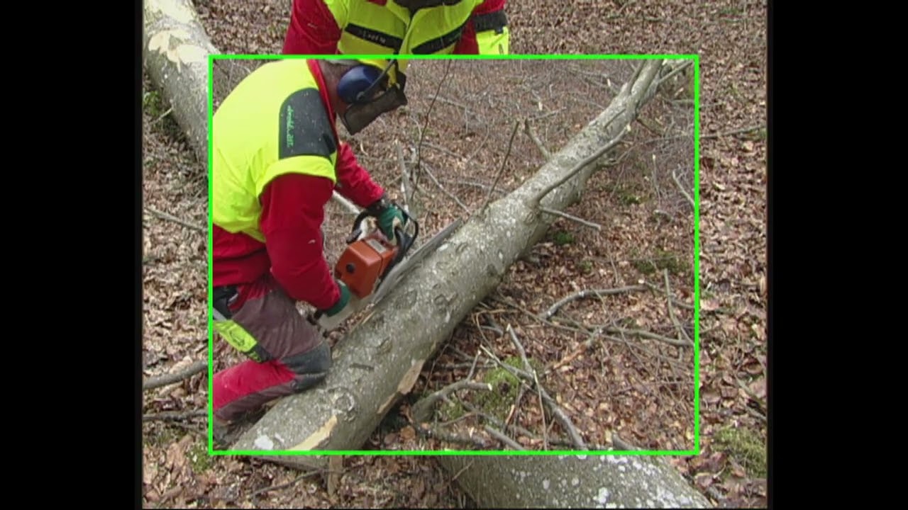 Entasten (Part 2/4) &ndash; Die Laubholzmethode