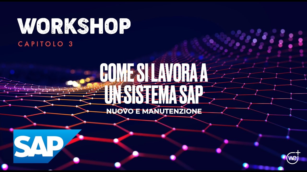 Capitolo 3 – Come si lavora a un sistema SAP nuovo