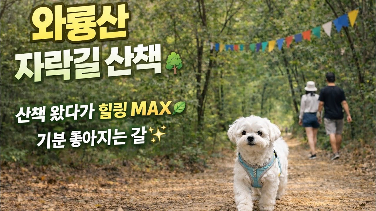 와룡산 자락길 산책하다가 힐링 제대로 하고 옴🌿Healing walk at Waryong Mountain 🌿