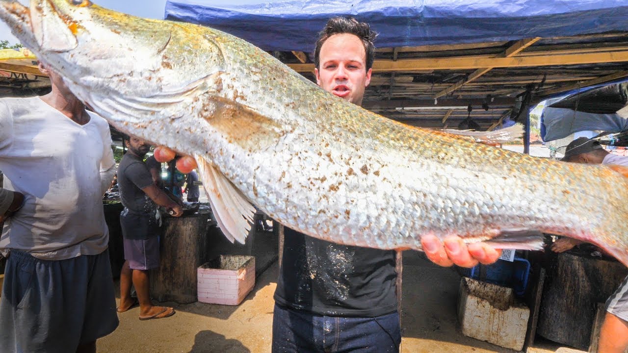 MASSIVE Seafood FEAST in Sri Lanka - INSANE Fish Market and HOME COOKED Sri Lankan FISH CURRY HEAVEN