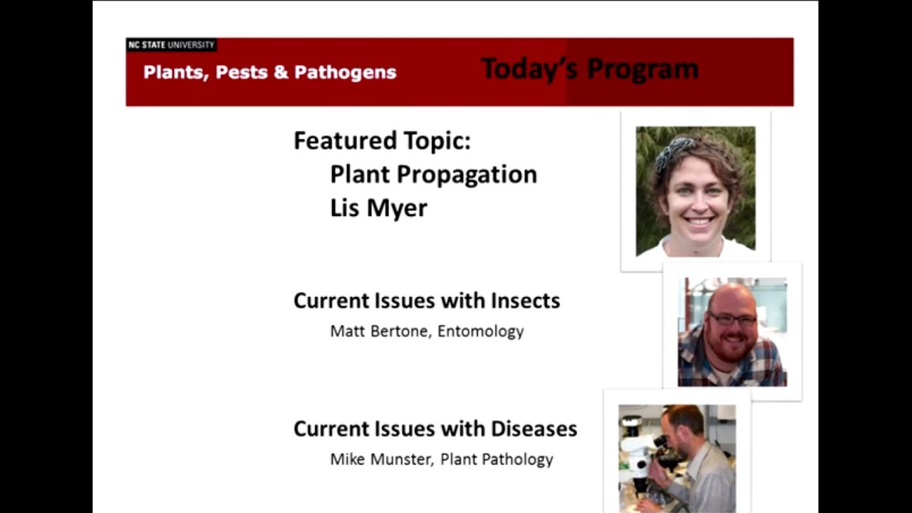 2014 08-02 Plants Pests and Pathogens - Plant Propagation
