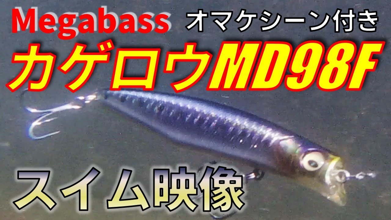メガバス カゲロウMD98F シーバスルアーのスイムチェック（オマケ映像付き） #megabass