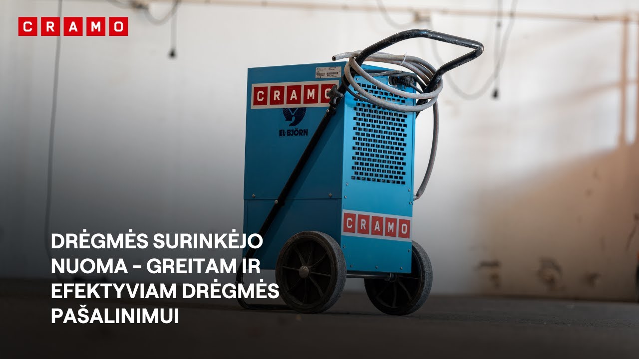 Drėgmės surinkėjo nuoma greitam ir efektyviam drėgmės pašalinimui.