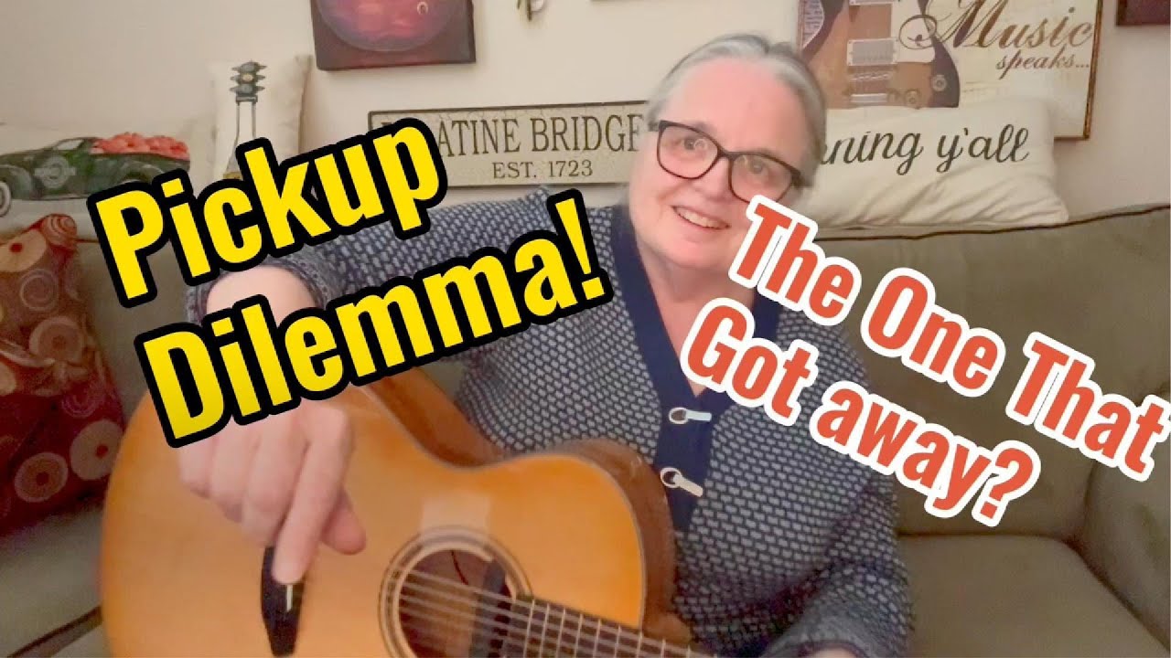 Breedlove Guitar - First Repair Did Not Work! ** The One That Got Away **  Fishman RareEarth