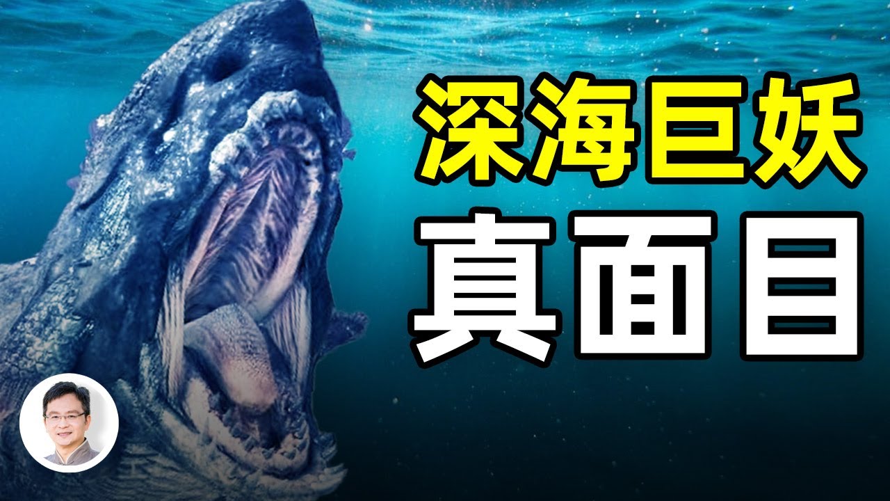 大海怪「克拉肯」長啥樣？你可能見過，至今還活著的深海巨妖！【文昭思緒飛揚第47期】