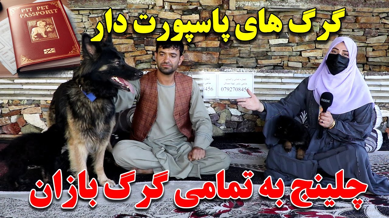 شروع واردات حاجی بشیر از کشور تاجکستان / و عصابانیت حاجی بشیر بالای که ؟