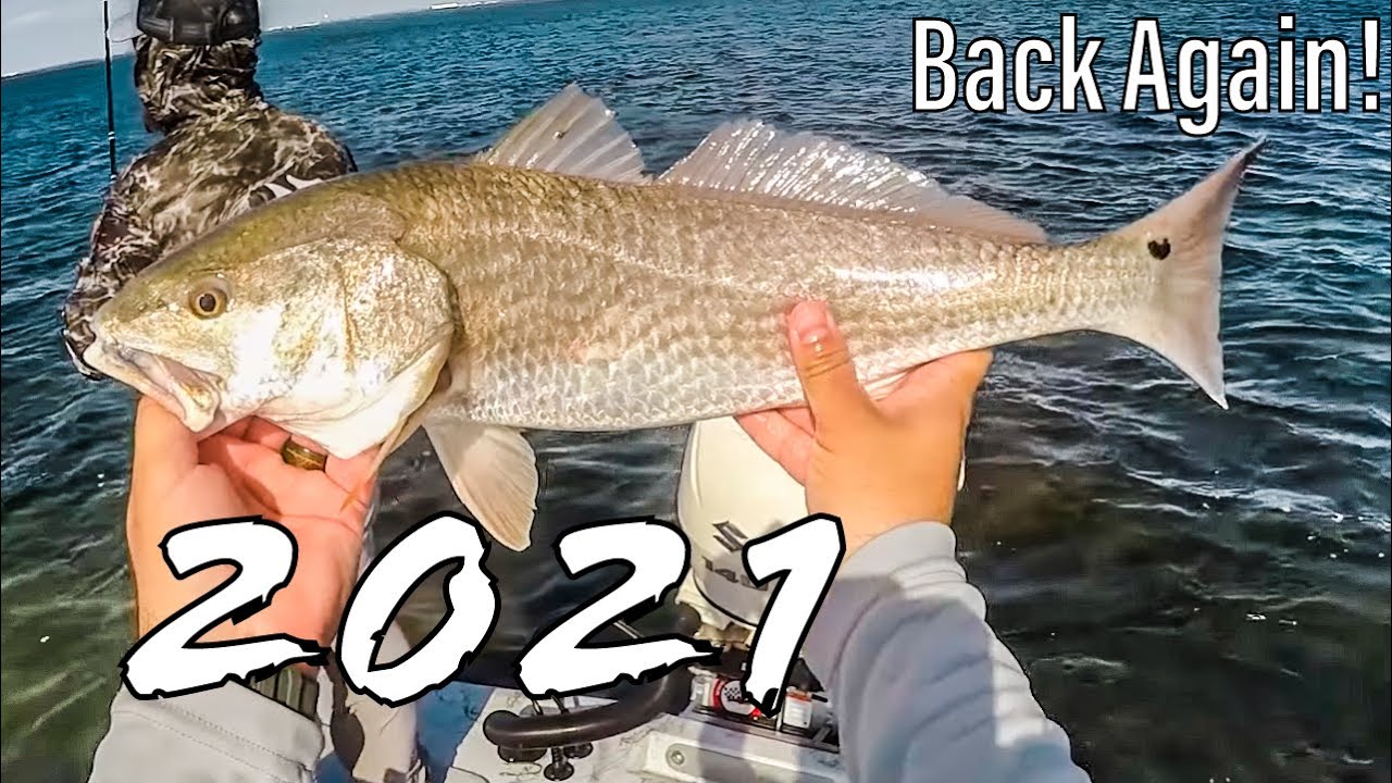 Catch and Release 2021 (Channel Update)