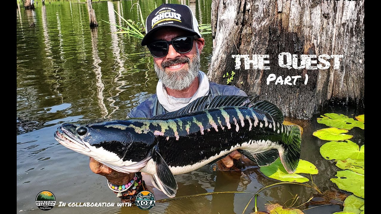 The Quest - Part 1 / Giant Snakehead Fishing Malaysia