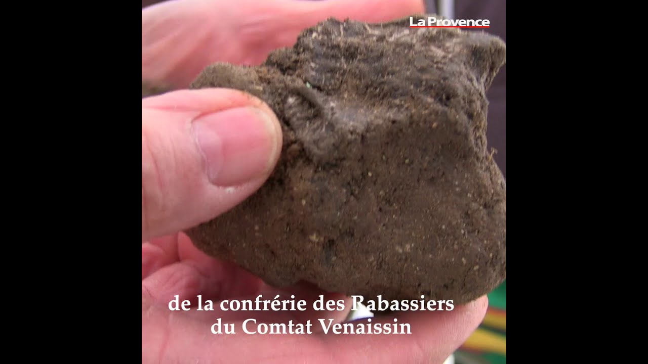 Viens je t'emmène... à Carpentras à la découverte du plus vieux marché aux truffes de France