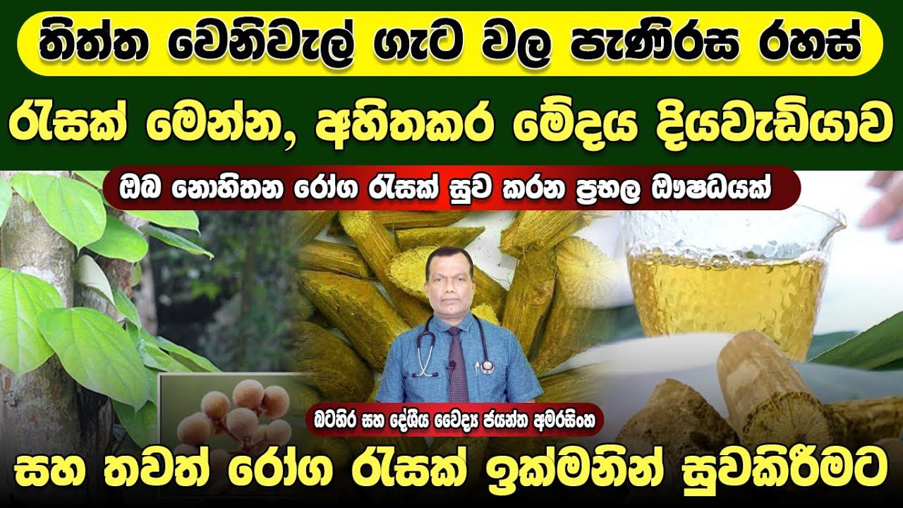 තිත්ත වෙනිවැල් ගැට වල පැණිරස රහස් රැසක් මෙන්න, අහිතකර මේදය, දියවැඩියාව සහ තවත් රෝග රැසක් සුවකිරීමට