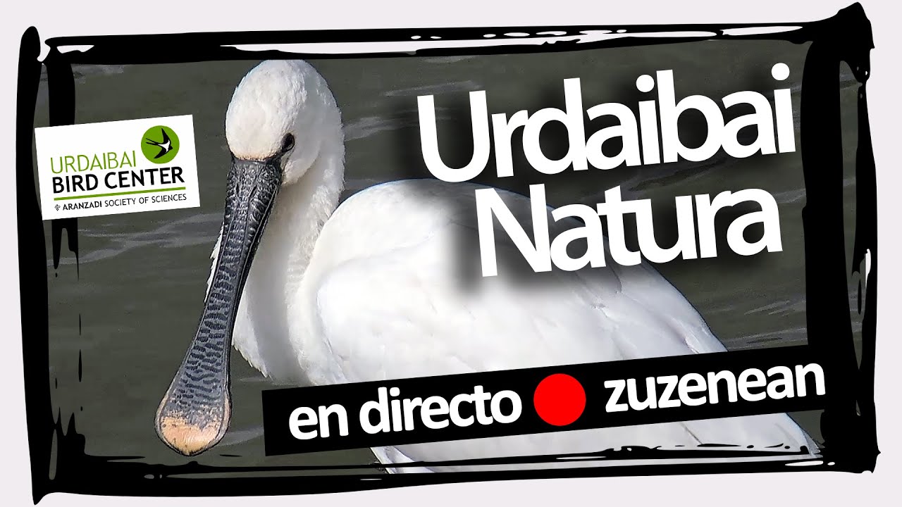 🔴 Programa semanal especial: Urdaibai Natura  | 29-09-2021