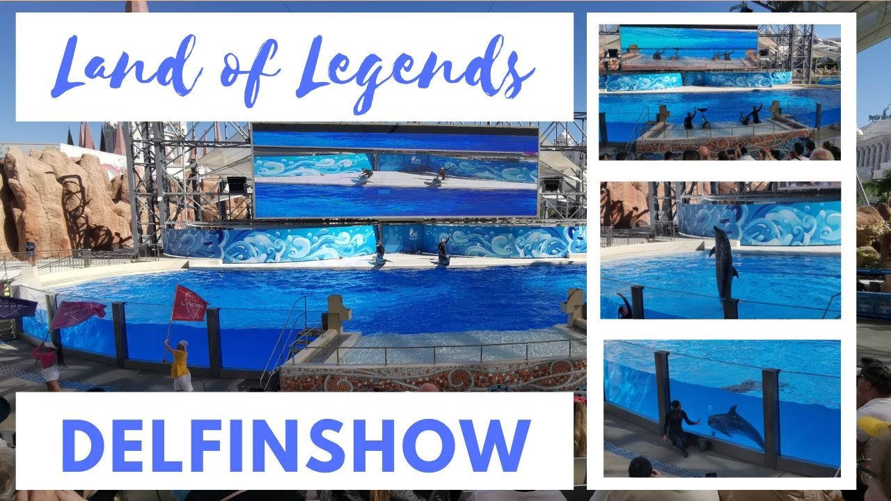 Delfinshow im Land of Legends Freizeitpark in der T&uuml;rkei | Highlights der Show | Best Of