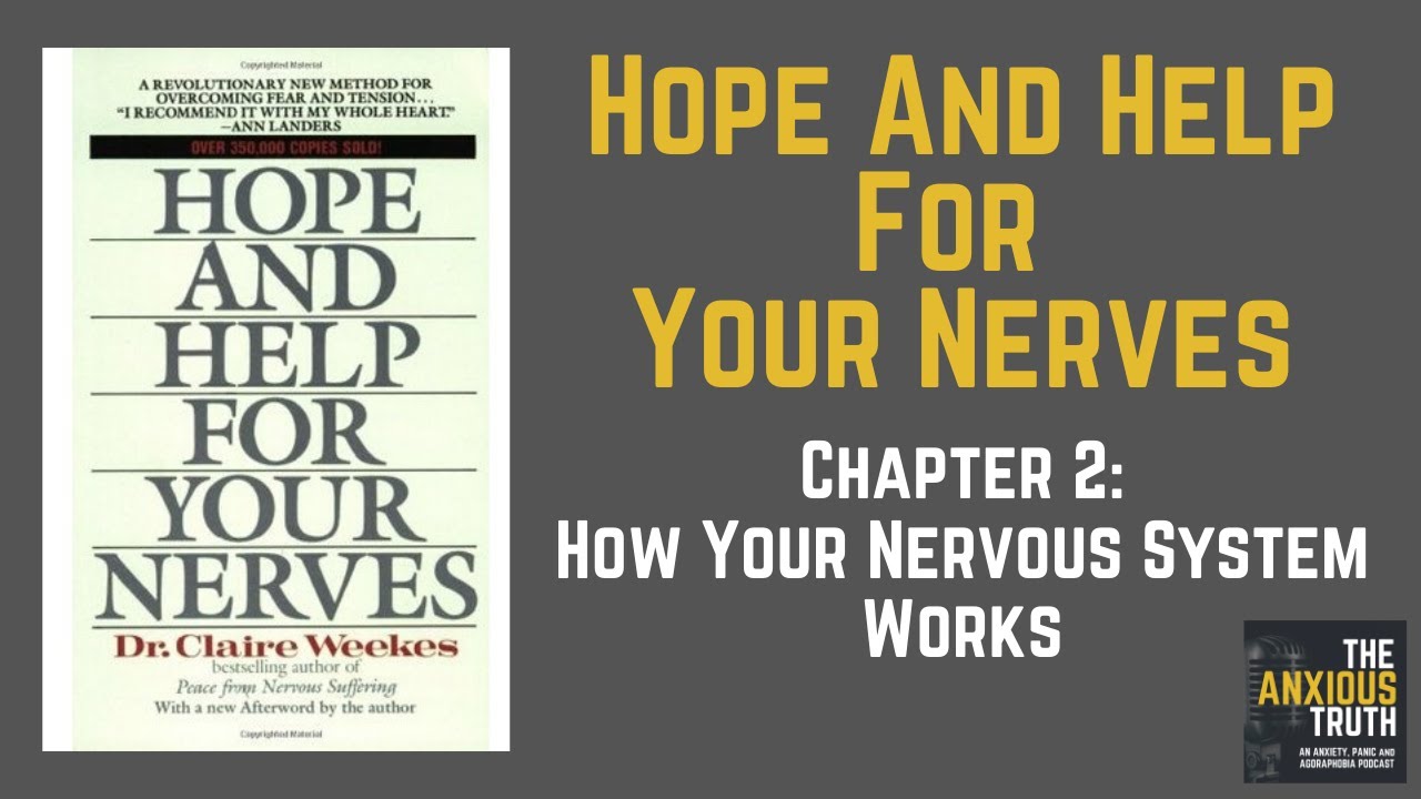 Hope And Help For Your Nerves  - Chap 2 - How Your Nervous System Works - TAG 021
