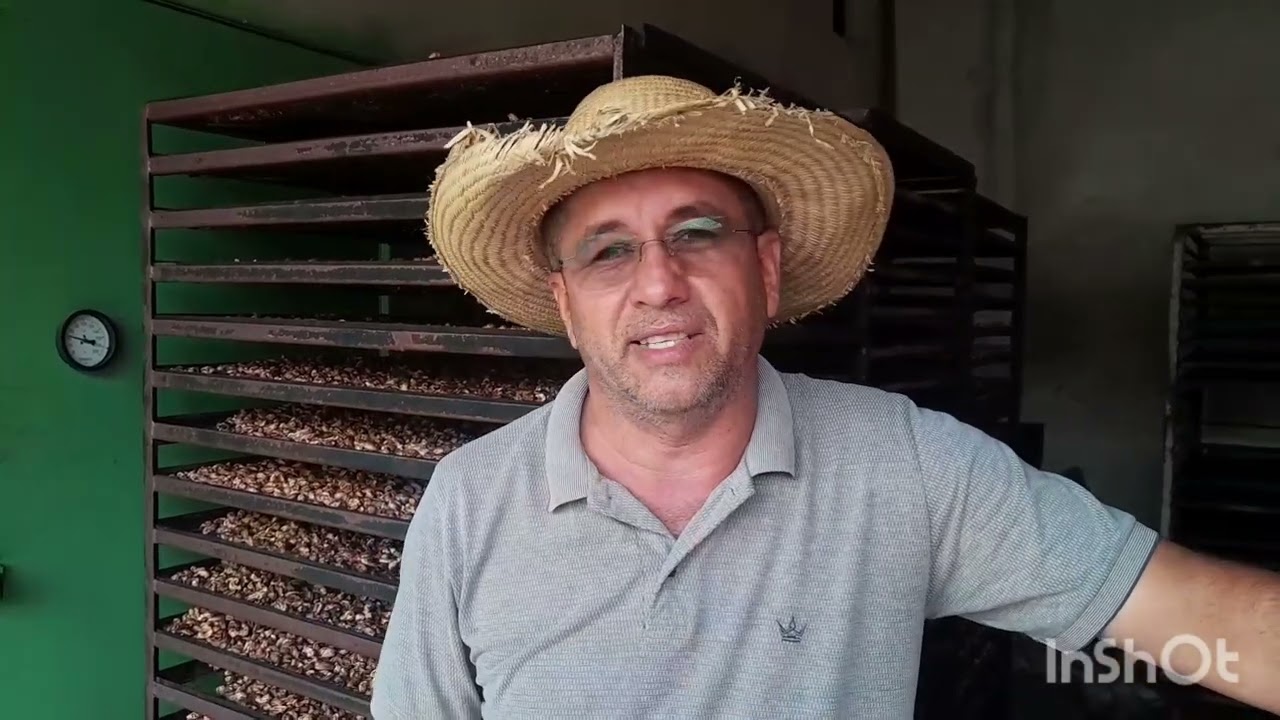 ESTUFA A LENHA [ PREPARANDO CASTANHA ]
