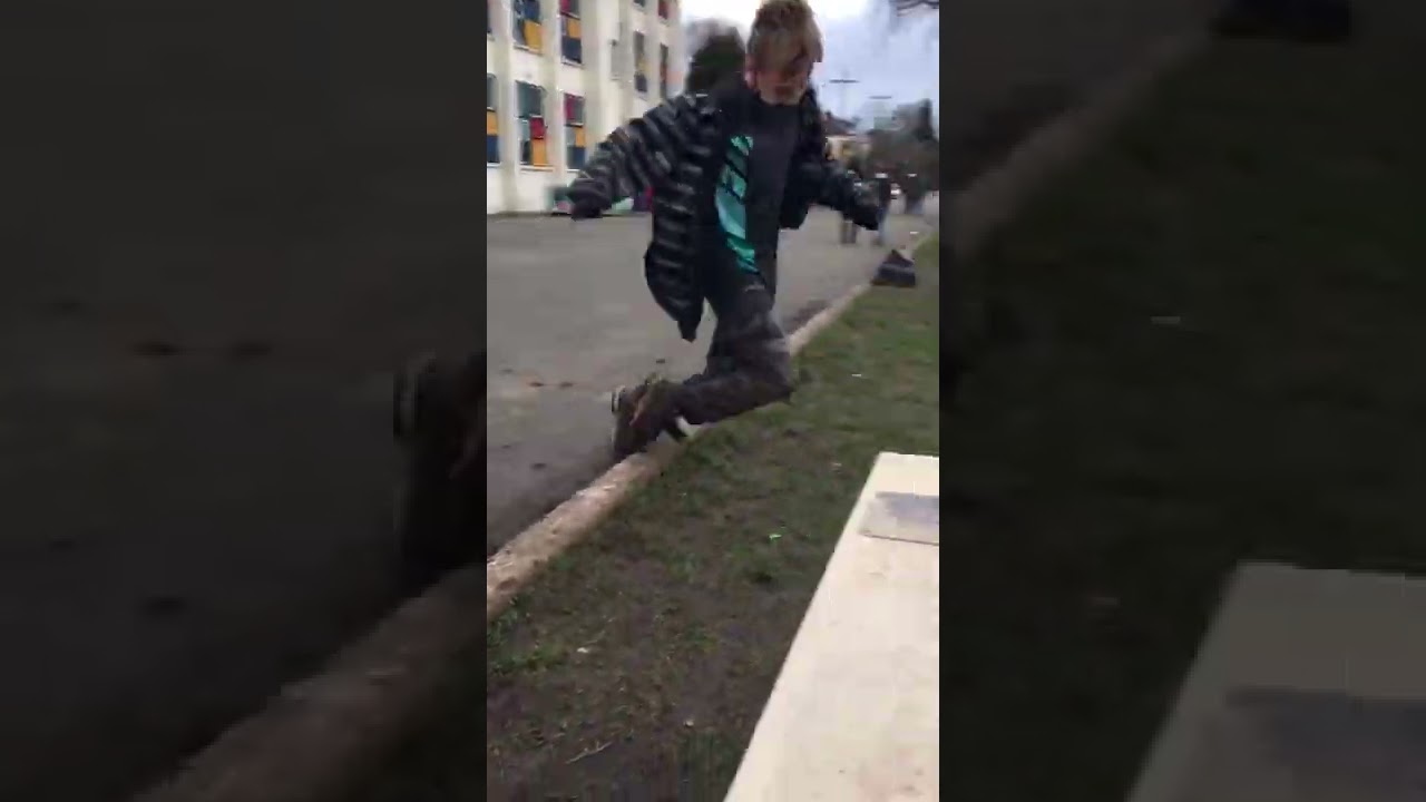 Spider donkey