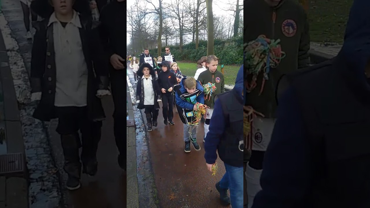 Carnavals optocht BS de Vaert 2017