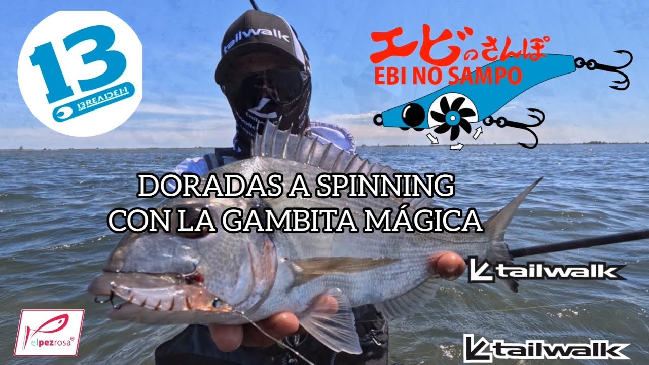 🐟𝗖𝗢𝗠𝗢 𝗽𝗲𝘀𝗰𝗮𝗿 𝗗𝗢𝗥𝗔𝗗𝗔𝗦 𝗮 𝘀𝗽𝗶𝗻𝗻𝗶𝗻𝗴 𝗰𝗼𝗻 𝗹𝗮 🦐𝗚𝗔𝗠𝗕𝗜𝗧𝗔 𝗠𝗔́𝗚𝗜𝗖𝗔✨/🍬