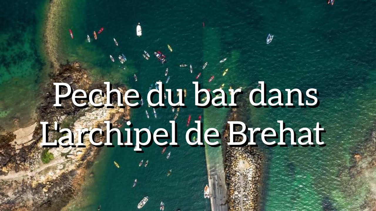 Je participes au concours FISH à l'AFFICHE dans l'archipel de Bréhat