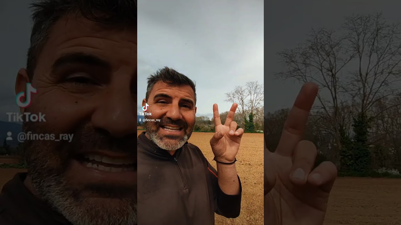 PRECIO DE LA VIVIENDA #inmobiliaria #agenteinmobiliario #fincasray #vendercasa #comprarcasa