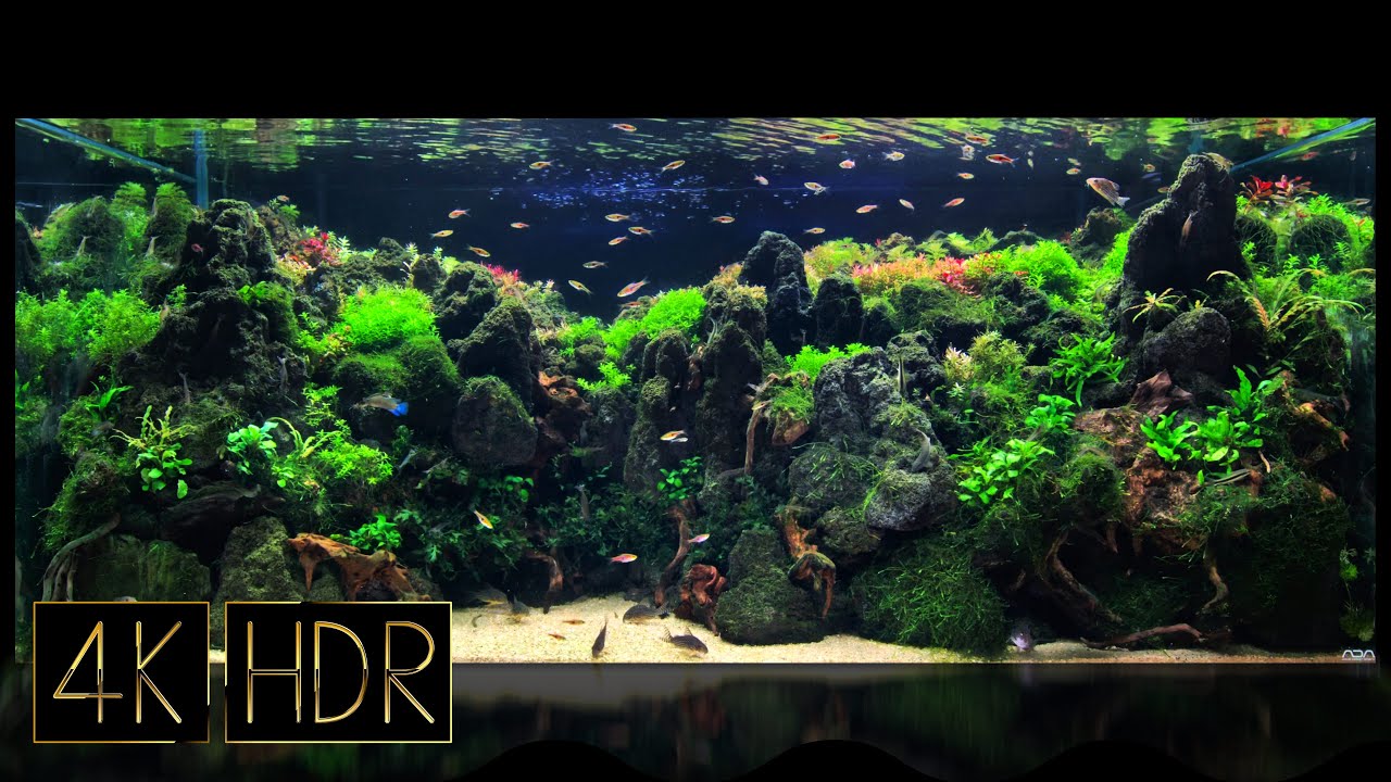 Healing | Aquascape • Fixed 3hours 4K HDR 60fps • Water sound