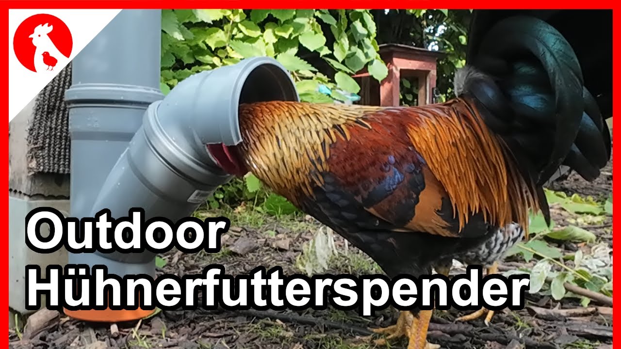 F226 DIY Outdoor Hühnerfutterspender   - easy pvc pipe chicken feeder - Jensman and the Huhns