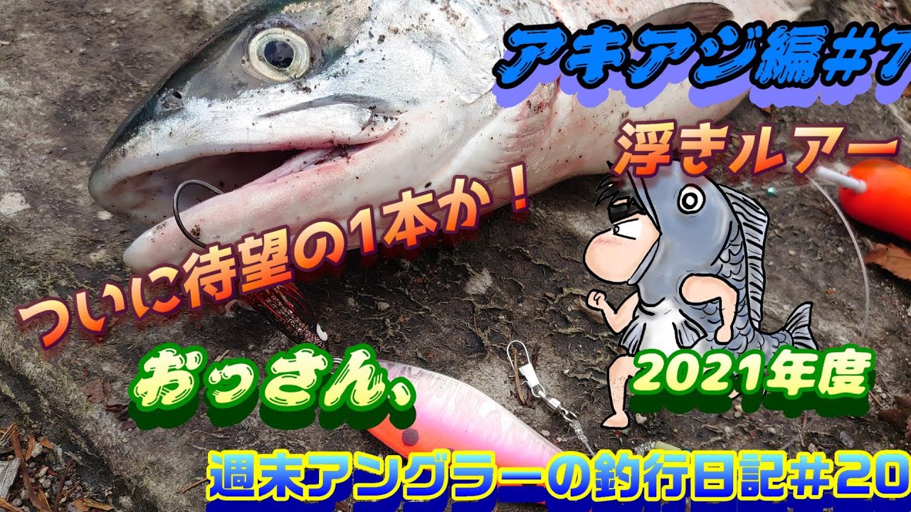 【週末アングラーの釣行日記】おっさんの釣行日記2021№20【アキアジ編№7】ボウズ連敗ストップなるか、ついに待望の1本が！