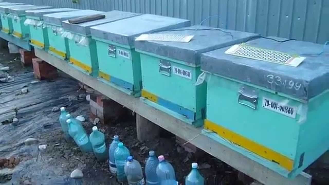 Stupina din Berindei 2015 incalzire electrica a stupilor cu HOT-FILM Korea Heating 2