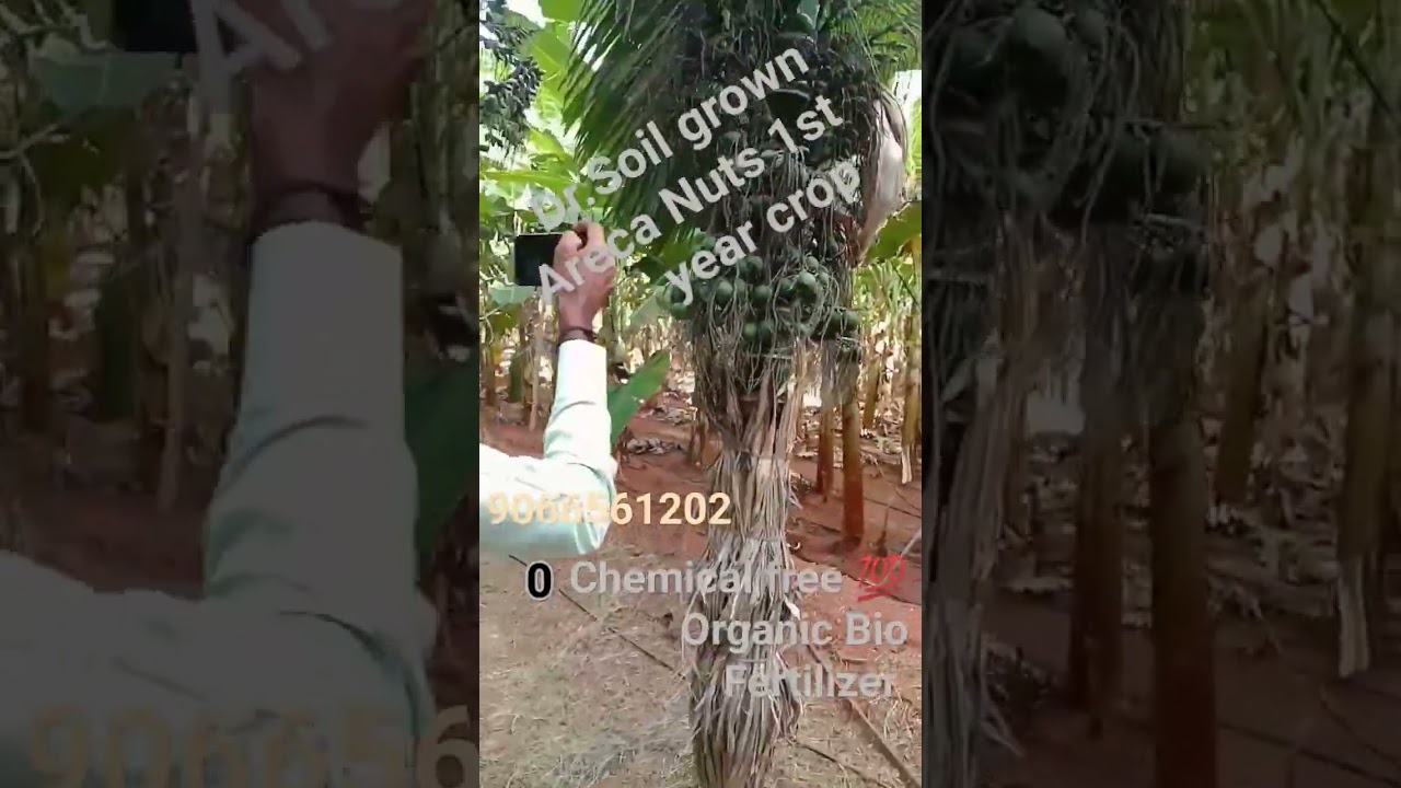 #Dr.Soil #organicfarming #microbi