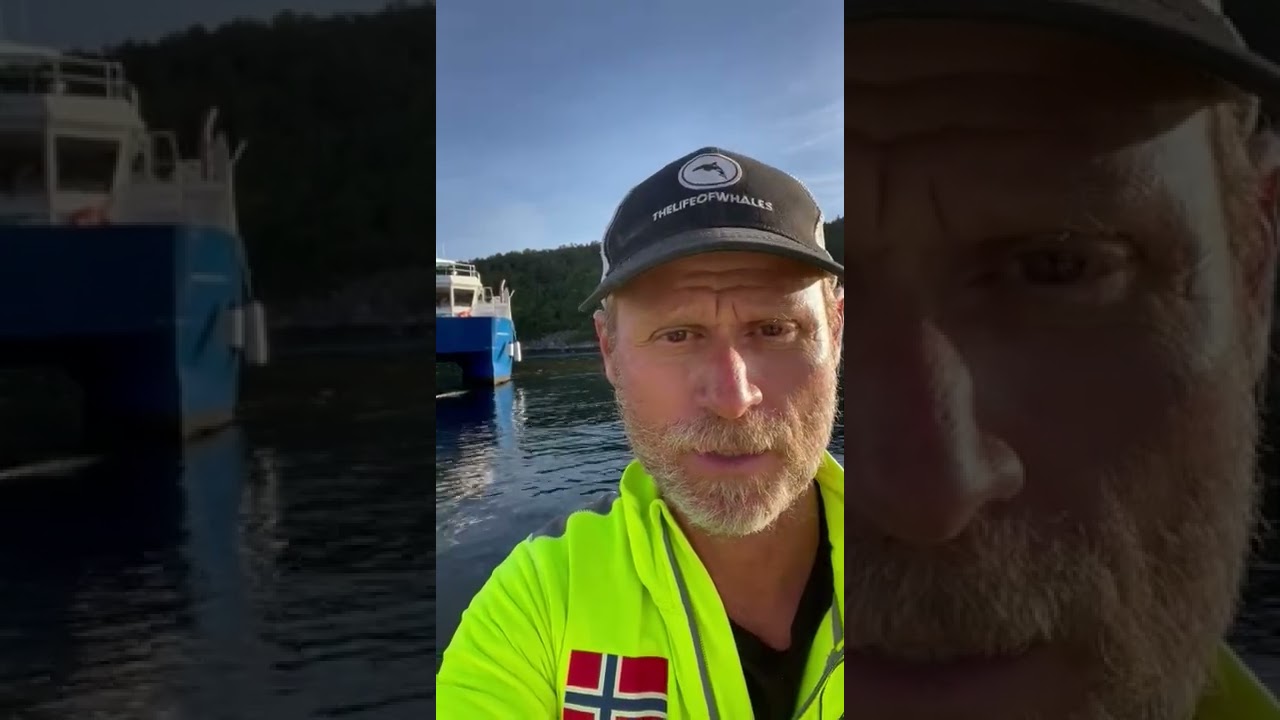 Team Hvaldimir Update - Rich German Aug 2022 | OneWhale.org