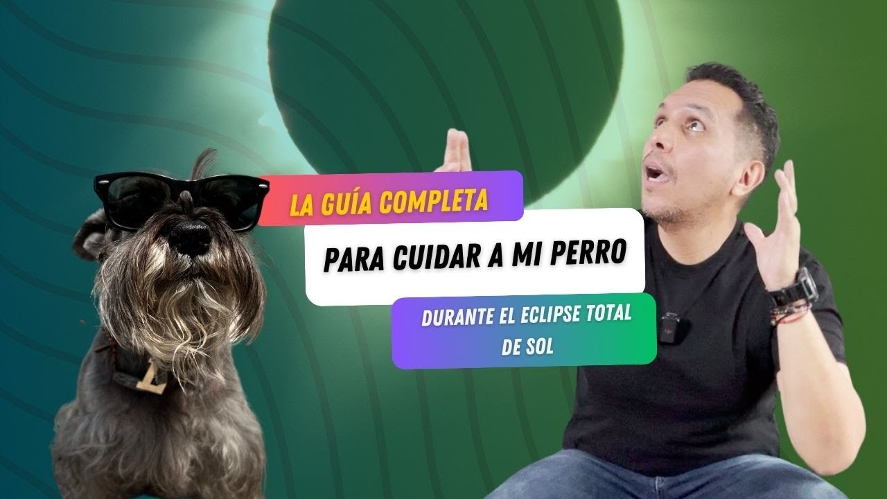 🐕Cómo cuidar a mi Perro durante el Eclipse Solar 🐶🌘 PERRHIJOS 🐩 Cómo cuidar a mi perro del eclipse 🌚