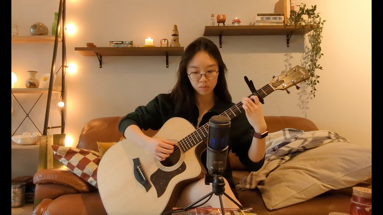 head in the ceiling fan - title fight (acoustic cover + tab)
